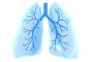 Imagen ilustrativa del artículo Alimentos para prevenir infecciones y mejorar la Salud Pulmonar